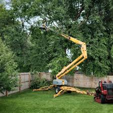 Seasonal Cleanup (Spring/Fall) in St Clairsville, OH